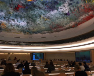 Annual Meeting of the Network on Business and Conflict in Geneva