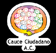 Cauce Ciudadano, ICIP Peace in Progress Award 2018